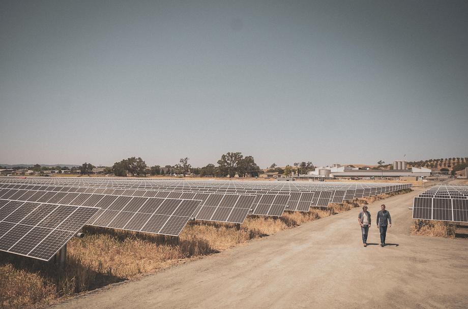 Earth Day | Firestone Walker Brewing Company Remains Committed to Sustainable Brewing and Renewable Practices