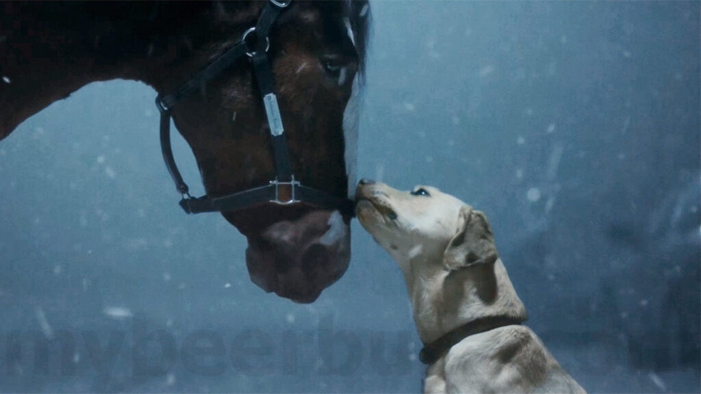 The Iconic Budweiser Clydesdales Deliver On-Screen Magic In Brand’s Super Bowl LVIII Commercial