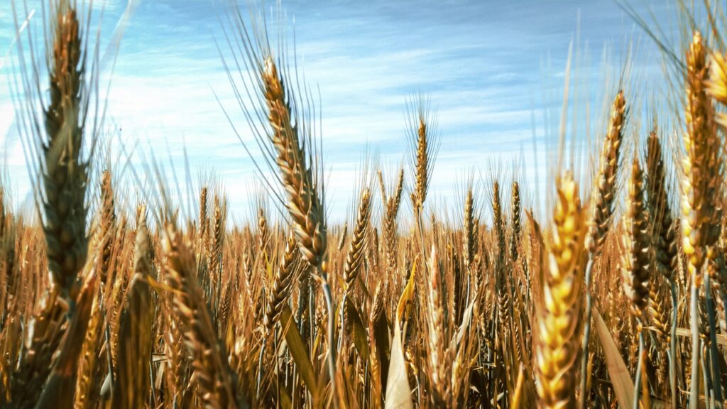 CRAFT MALTSTERS GUILD SHARES 2023 STATE OF THE INDUSTRY UPDATE