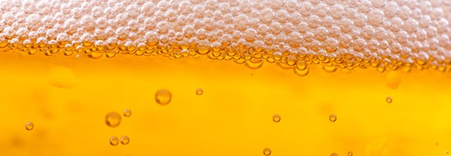 Beer is a Depressant or Is It?
