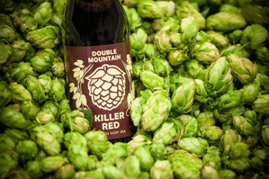 Double Mountain Killer Red Fresh Hop IRA Release