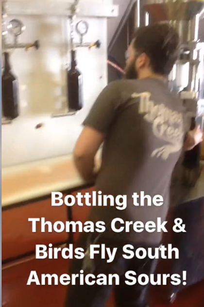 Thomas Creek & Birds FLy South Collaborate On