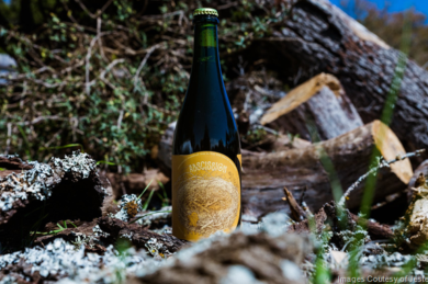 Jester King & Scratch Brewing Collaborate On Abscission