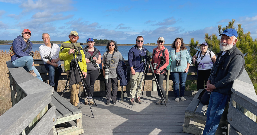 Dogfish Head:  Sandpipers, Seals and Scoters…Oh My! Delmarva BirdINNg Weekends Are Here!