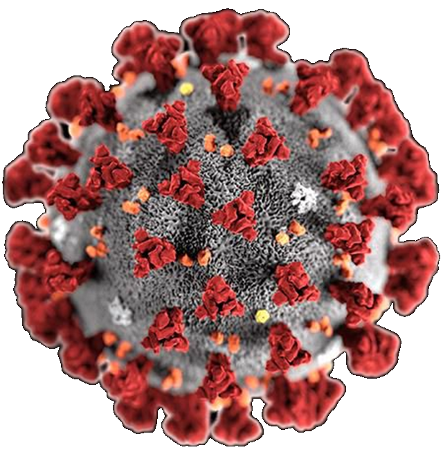 NEPA COVID-19 Status–Buying Beer, Mead, Cider & Spirits