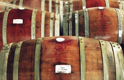 Temperance Beer Sour Times Coming 11/11