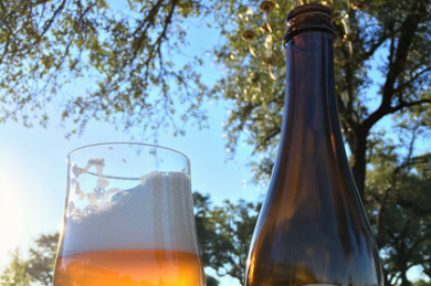 Jester King Introduces 2016 Vernal Dichotomous