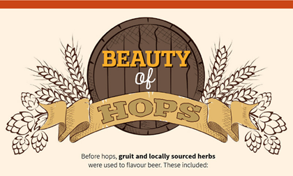 The Beauty Of Hops From Beer Cartel