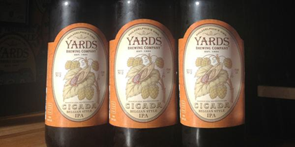 Yards – Cicada IPA Returns 9/1