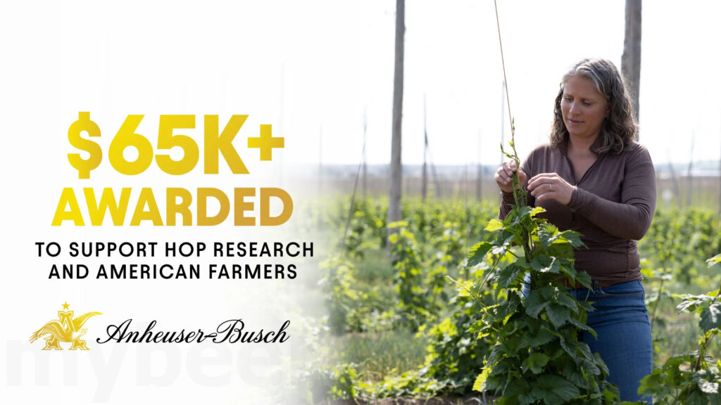 Anheuser-Busch Awards $65,000 Grant to Advance Hop Research